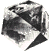links