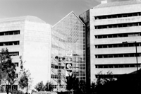Wood Quay